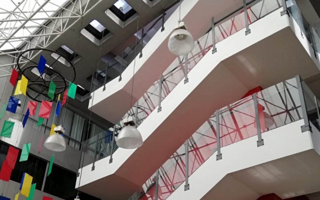 Experiencia en el Mercado Inmobiliario